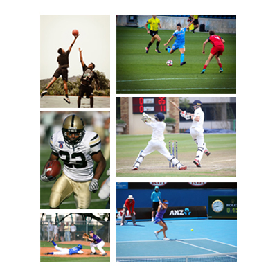 Top-ranked sports with global viewership and cultural impact