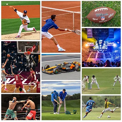 Top 10 Sports Shaping the Global Economy: A Look at the Financial Powerhouses in Sports