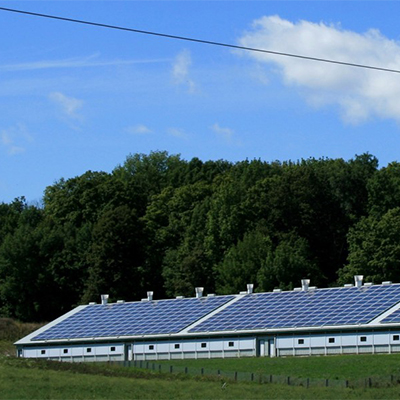 How Renewable Energy Is Powering the Next Generation of Stadiums