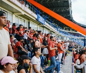 Fan Engagement & Education