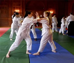Martial Arts