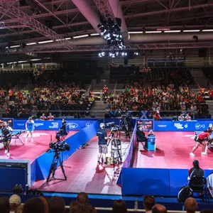 Arena Group celebrates after Commonwealth Games success