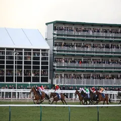 Arena Structures at Cheltenham