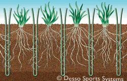 Desso GrassMaster is a sports field of 100% natural grass reinforced with Desso synthetic grass fibres.