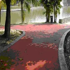 Jogging tracks