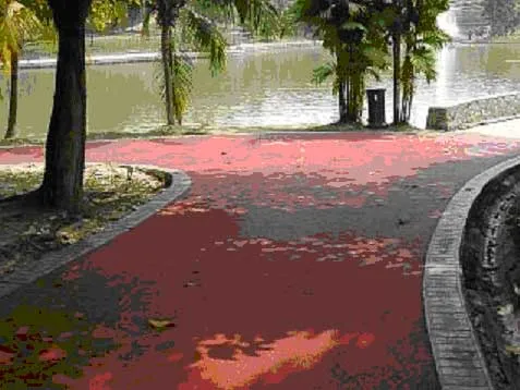 Jogging tracks
