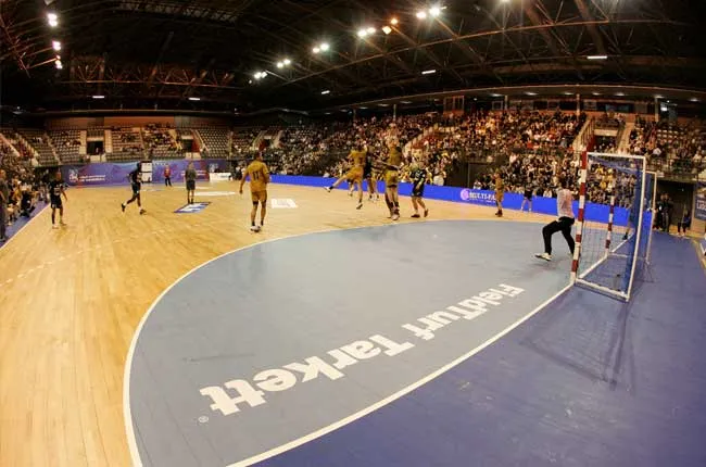 French Handball Ligue Cup