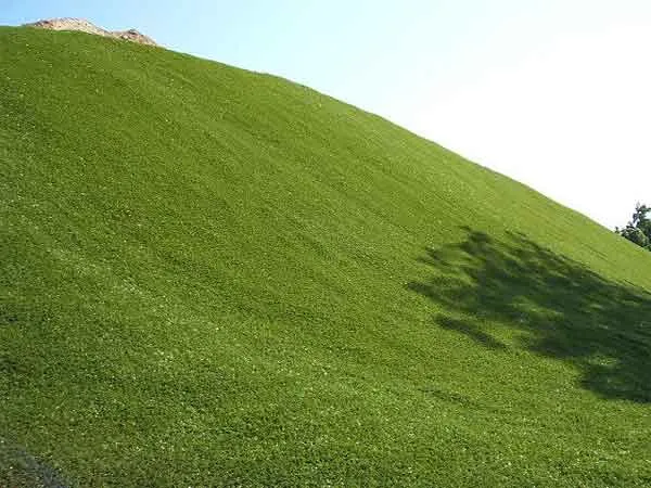 Hill