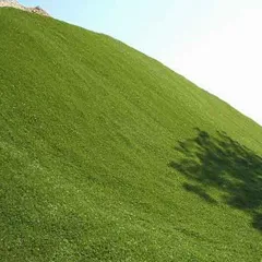 Hill
