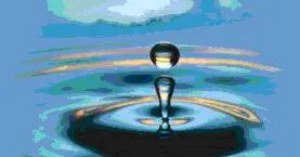 Protective Coatings & Admixtures