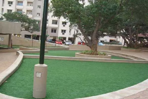 Artificial / Synthetic Grass