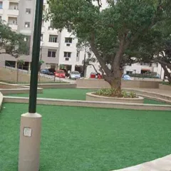 Artificial / Synthetic Grass