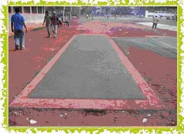 Artificial Turf